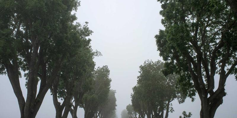 66Z66编程教程与资源分享:解锁网络技术55的核心技能图谱