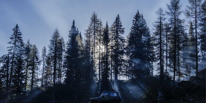 IPv6规模化部署：直面挑战、精研迁移策略与筑牢安全防线 | 网络技术深度解析