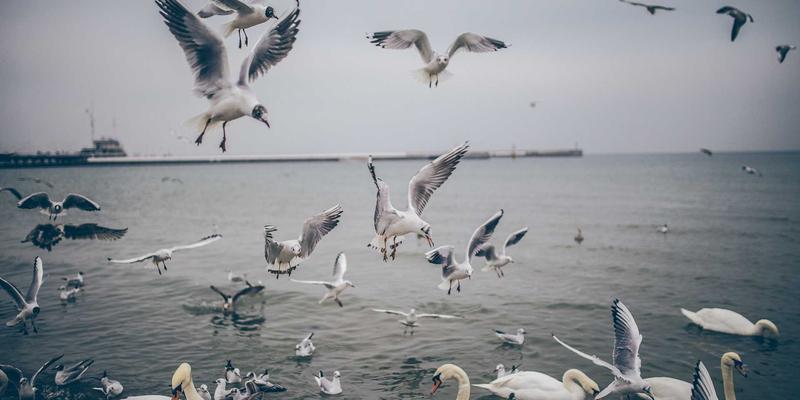 低延迟网络技术实战指南：高频交易与云游戏场景下的开发资源与软件工具分享