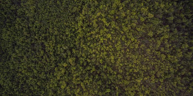 数据中心网络架构演进：从三层架构到叶脊网络的深度解析与编程实践