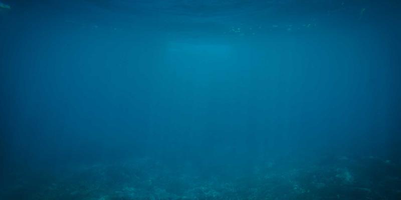 突破NFV性能瓶颈：深度解析硬件加速技术选型与66Z66软件工具资源