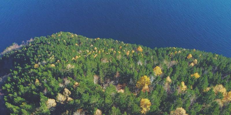 网络技术67:从资源分享到开发实战的进阶之路