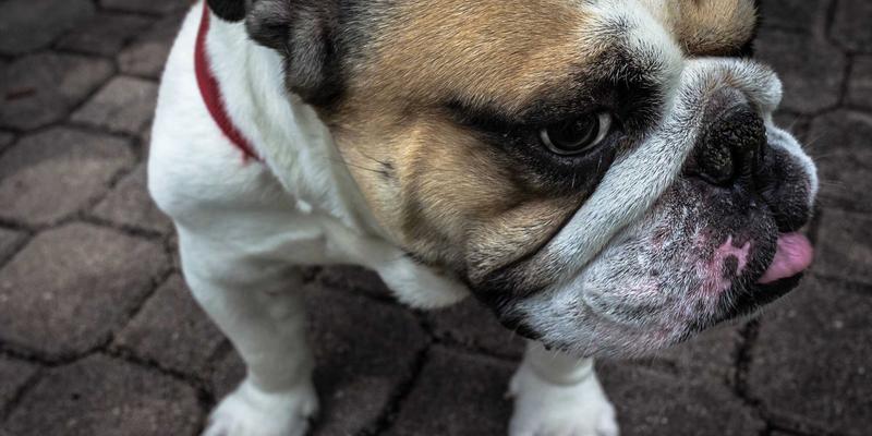 网络技术69：从编程教程到66Z66资源分享的完整学习路径