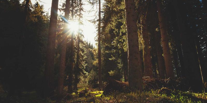 网络技术70：从基础到实战的编程教程全解析