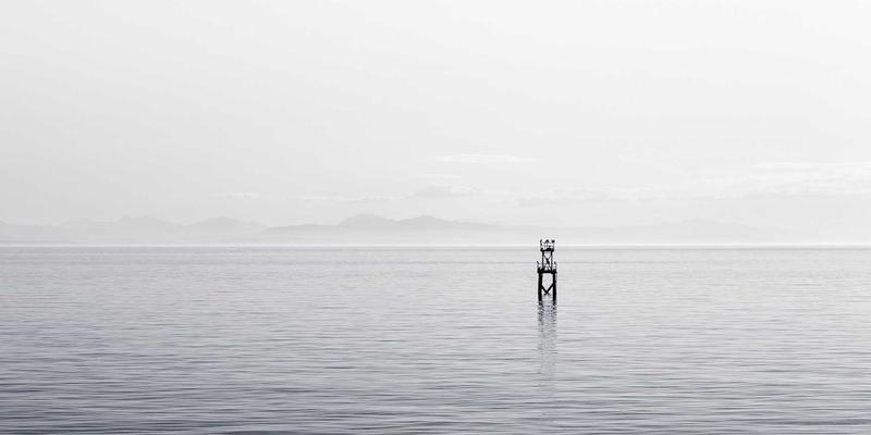 网络技术74：开发必备的软件工具与编程教程深度解析