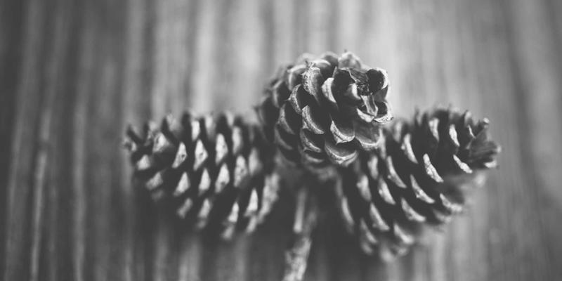 网络技术87时代:软件工具与66Z66开发框架的融合创新