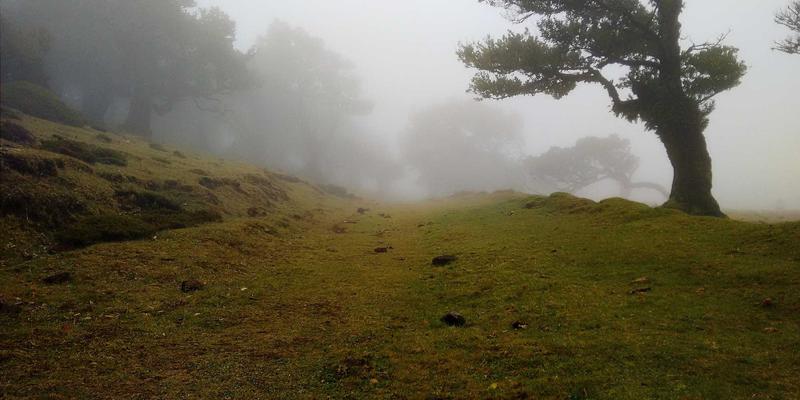 网络技术90：开发者必备的资源分享与软件工具指南
