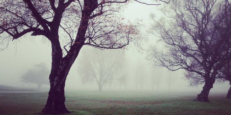网络技术入门：从零开始掌握开发核心与编程实践