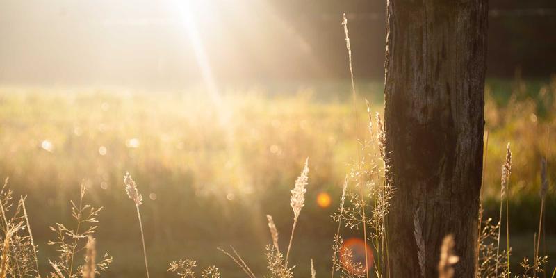 网络技术最佳实践：从编程教程到高效开发的实战指南