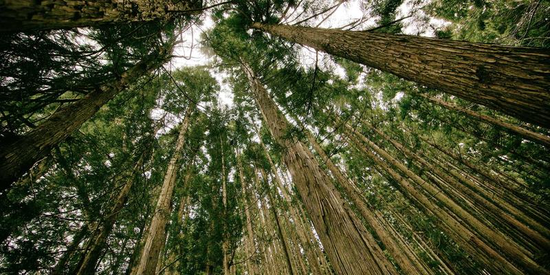 网络技术资源分享：从入门到精通的编程教程指南