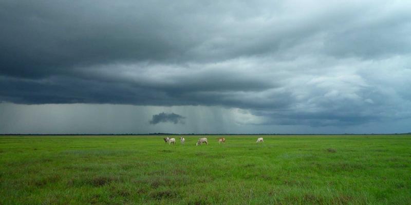 网络技术资源高效分享指南：以66Z66为例的实战策略