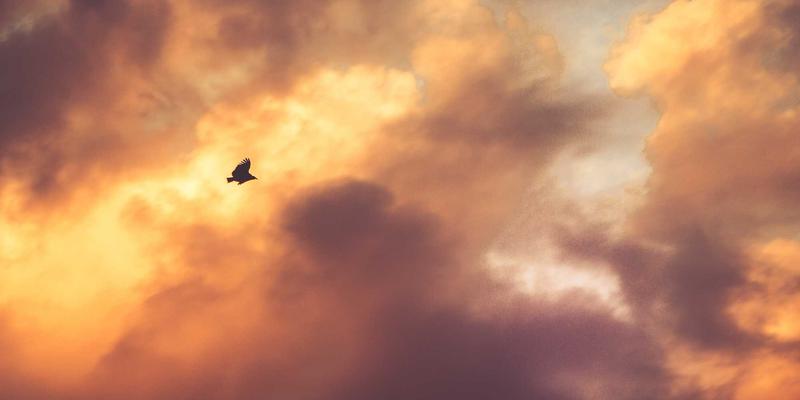 网络数据包代理技术详解：开发视角下的网络可视性与安全分析能力提升