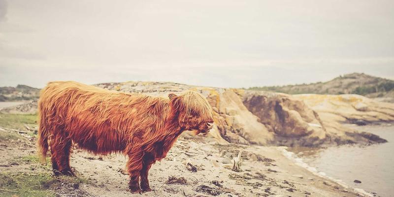 零信任网络架构：企业内网安全的实施路径与挑战解析 | 网络技术实战指南